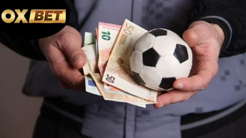 Các Loại Hình Cá Cược Trên OXBET